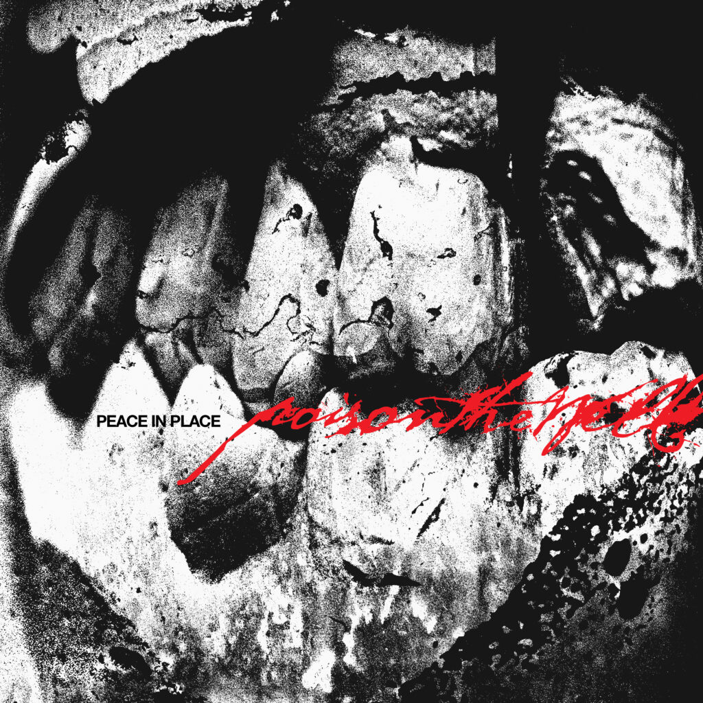 Peace In Place - POISON THE WELL